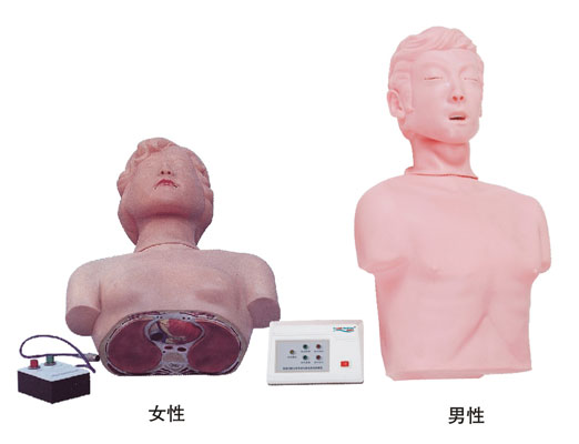 半身心肺復蘇訓練模擬人(簡易型)