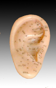 按摩耳12CM