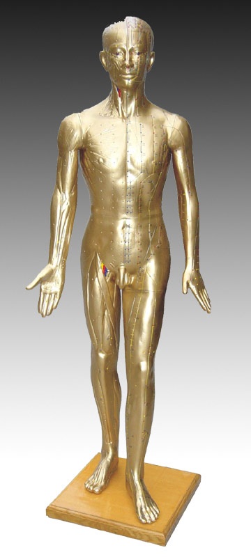 人體針灸模型178CM(青銅色)